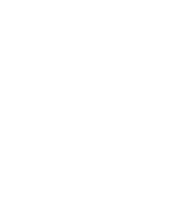 Hexagone MMA