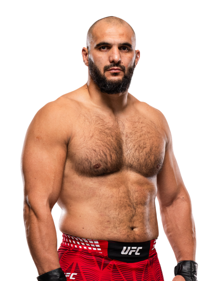 Javad Mahjoub